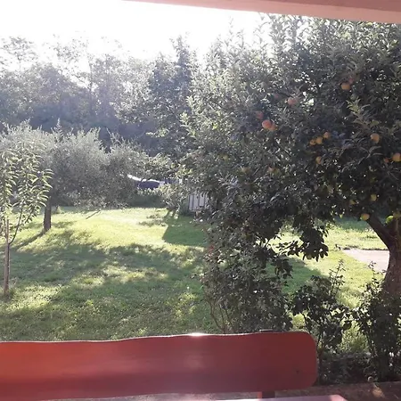 Lena Apartamento