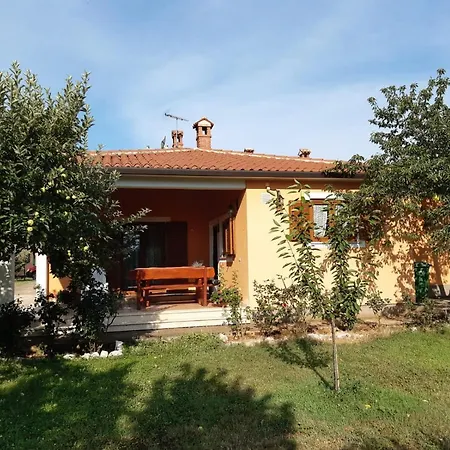 Apartment Lena Umag